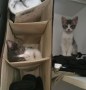 Amy und Amelie (2)